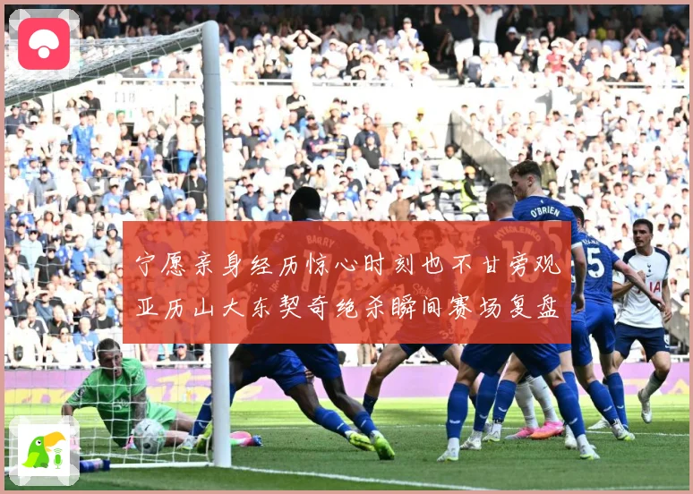 宁愿亲身经历惊心时刻也不甘旁观亚历山大东契奇绝杀瞬间赛场复盘-深度解析